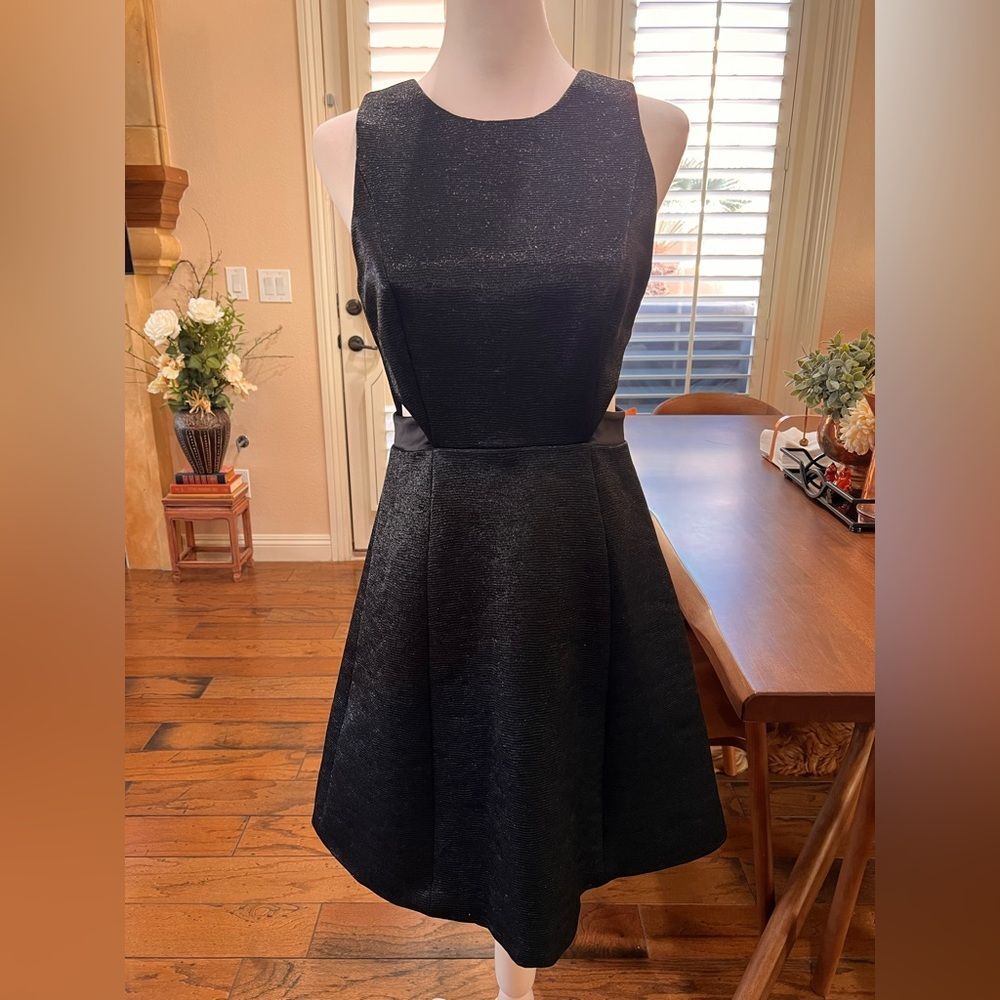 Halston Heritage Evening Fit Flare Black Formal Mini Dress Size 4 NEW $475